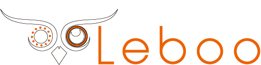 logo agence leboo
